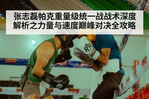 张志磊帕克重量级统一战战术深度解析之力量与速度巅峰对决全攻略